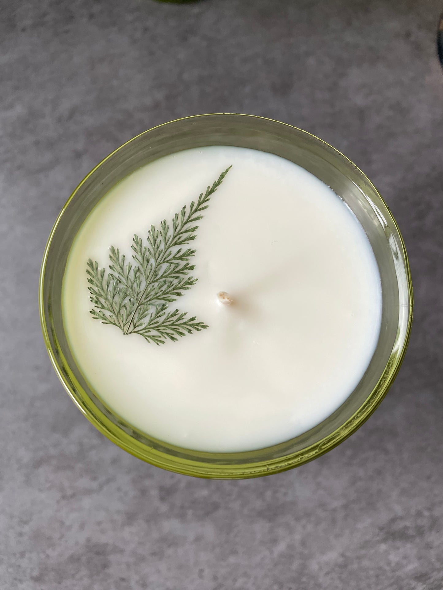Mountain Pine, 10 oz