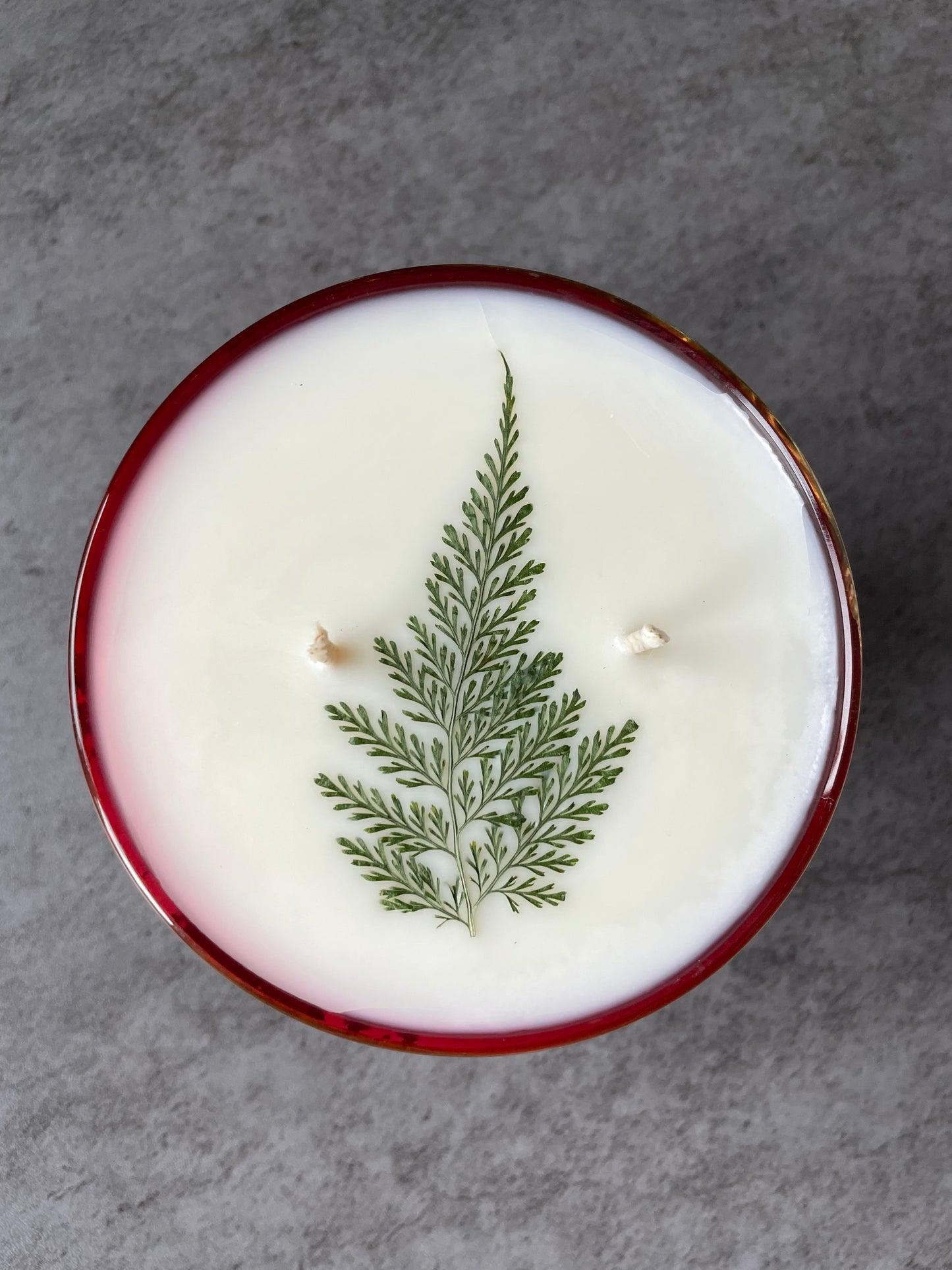 Mountain Pine, 6 oz