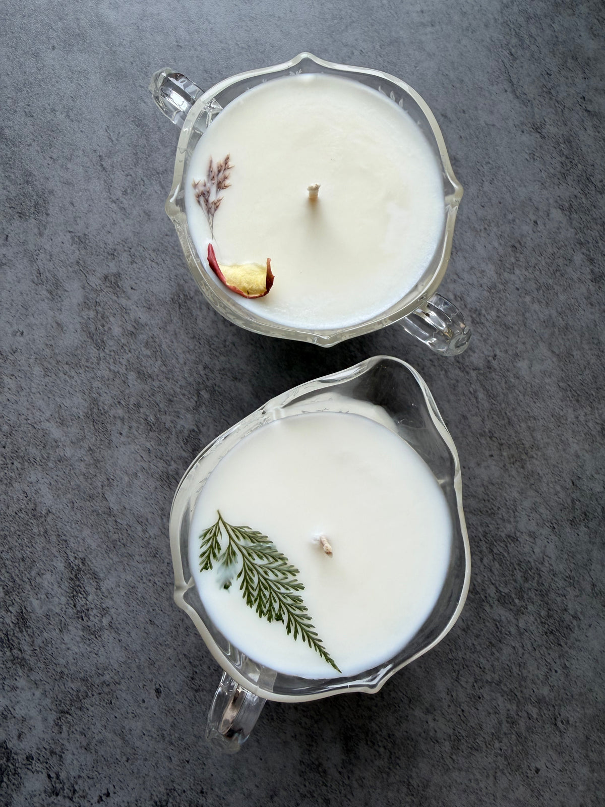 Apples and Maple Bourbon + Mountain Pine, 14 oz Cream and Sugar SET