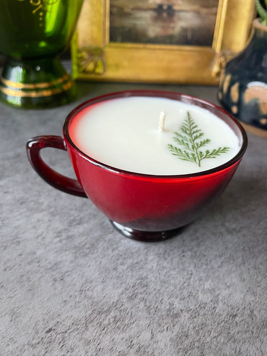 Mountain Pine, 5 oz