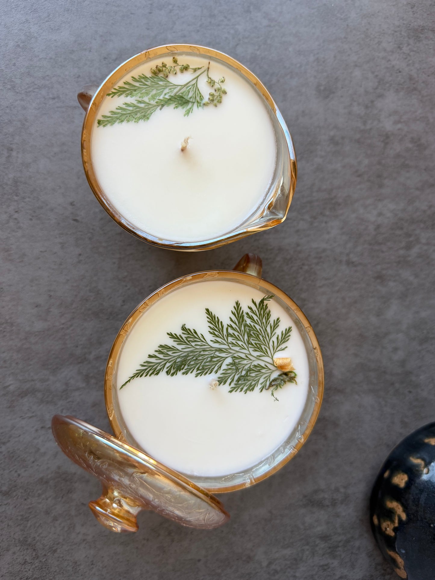 Woodland Fog + Lemongrass and Lime, 16.5 oz Cream and Sugar SET